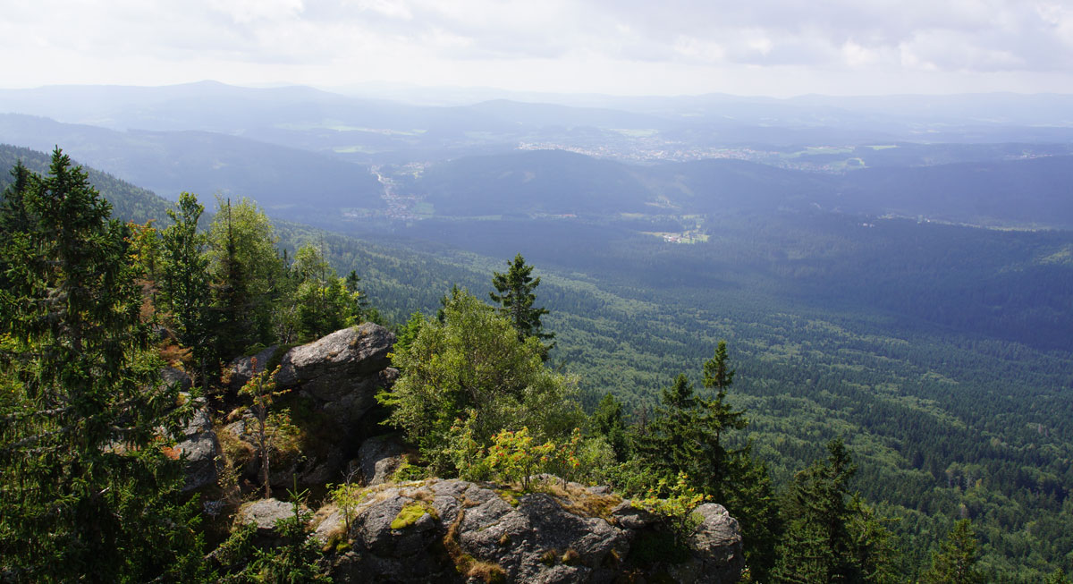 Bayerischer Wald