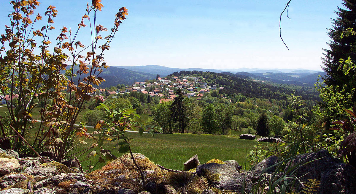 Urlaub in Mauth-Finsterau am Nationalpark Bayerischer Wald